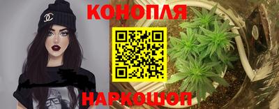 крисы Малоярославец