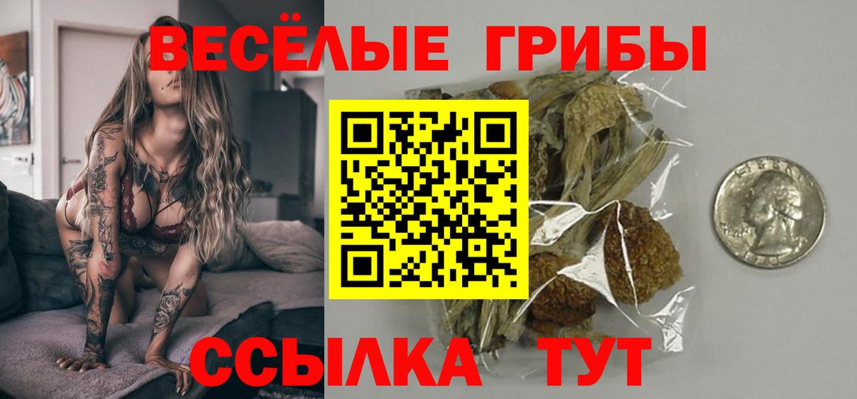 Советск  Галлюциногенные грибы мицелий  Вход с VPN 