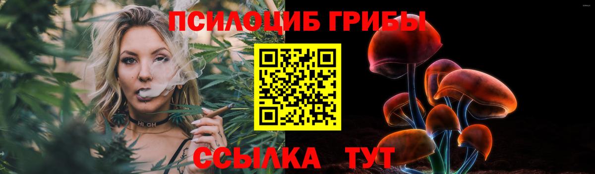 Галлюциногенные грибы MAGIC MUSHROOMS Советск